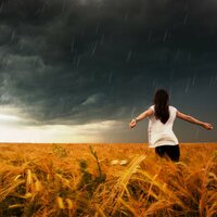 Storm Over - Lofi Rain