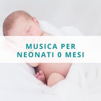 Tutto è calmo - Mare Neonato
