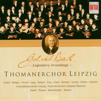 Ich hatte viel Bekümmernis, BWV 21: VI. "Was betrübst du dich, meine Seele" - Neues Bachisches Collegium Musicum & Thomanerchor Leipzig & Hans-Joachim Rotzsch & Johann Sebastian Bach