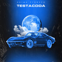 Testacoda - Anima & Pi Greco