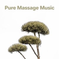 Born Again - Massage Tribe & Pure Massage Music & Ultimate Massage Music Ensemble