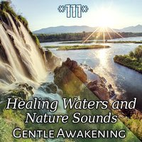 Peaceful Walk - Calming Water Consort