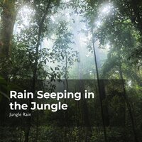 Humid Jungle Rainfall - Nature and Rain & Deep Rain Sampling & Jungle Rain