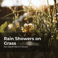 Terrestrial Downpour - ASMR Rain Sounds & Rain Sounds Nature Collection & Sleepy Rain