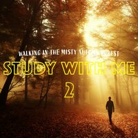 Walking in the Misty Autumn Forest, Pt. 15 - Bryan Maxwell