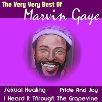 Stop, Look, Listen (To Your Heart) - Diana Ross & Marvin Gaye