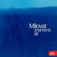 Z dlouhé chvíle - Nina Divíšková & Miroslav Macháček & Ewald Schorm & Jan Kačer