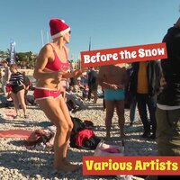 I'll Be Home for Christmas - Bobby Vee