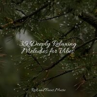 Soothing Wind - Nature Sounds Nature Music & Música De Relajación Para Dormir Profundamente & Massage Therapy Music