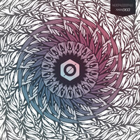Hidden Feelings - Pedro Sanmartin & Induced Waveform