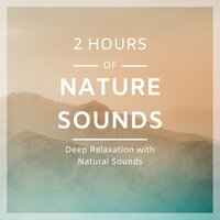True Heart of the Rain - 125 Nature Sounds & Thunderstorm Sleep