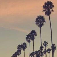 THE DRIVE HOME - Nando