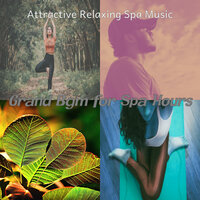 Fun Backdrops for Spa Treatments - Attractive Relaxing Spa Music