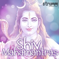 Om Namah Shivay - Shankar Mahadevan