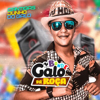 Vai Sua Cavalona - Bonde Galo Da Roça & MC Dricka