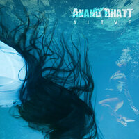 Stay - Anand Bhatt