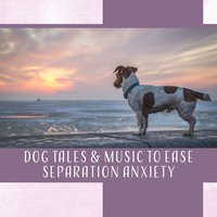 Soothe Your Pet - Pet Relax Academy