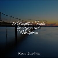 Tranquilizing Musical Pleasures - Sleepy Times & White Noise Baby Sleep & Deep Sleep Systems