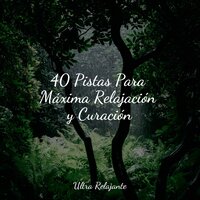 Cascadas Y Arco Iris - Meditação Maestro & Sueño Profundo & Lluvia PQ
