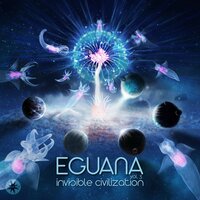 Laminar Flows - Eguana