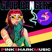 PSM Questionable Discipline - Pink Shark Music