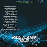 Copilita - Ovidiu Liteanu