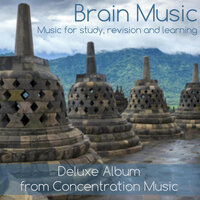 Mind & Brain - ConcentrationMusic
