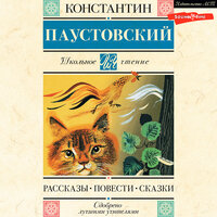 Константин Паустовский. «Рассказы, повести, сказки». Часть 40 - Юрий Белик & Константин Корольков