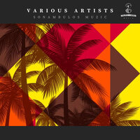 intensit groove - Joselacruz