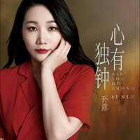 明月夜 - 孙露