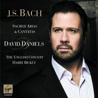 Aria: Erbarme dich (St Matthew Passion BWV 244) - David Daniels & Nadja Zwiener & The English Concert & Johann Sebastian Bach