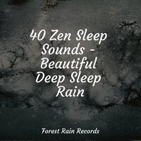 Wetland, Rain, Puddle, Frogs - Sleep Songs 101 & Meditation Awareness & Loopable Sounds for Babies