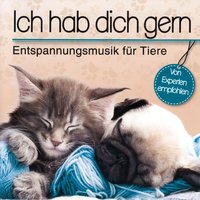 Ausgeglichenheit - Korte