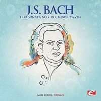 Trio Sonata No. 4 in E Minor, BWV 528: Un poco allegro - Ivan Sokol & Johann Sebastian Bach
