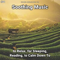 Soothing Music, Pt. 9 - Calm music & Relaxing Spa Music & Yoga