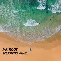 Splashing Waves - Mr. Root
