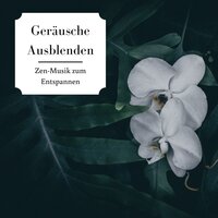 Gleichgewicht und Inneren Frieden finden - Schlaf Musik Prime