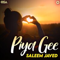 Zindagi - Saleem Javed