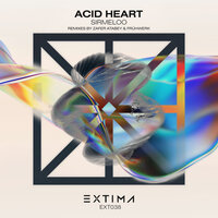 Acid Heart - Sirmeloo & Fruhwerk