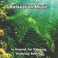 Relaxation Music, Pt. 23 - Relaxing Music for Dogs & Yoga & Relaxing music