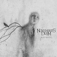 Animus - Novembers Doom