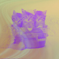 Bubbly Cute Kitten - Relaxing Music for Cats