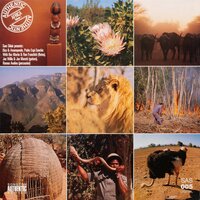 Song of the Spirits, Pt. 3 - Dizu Plaatjies & Amampondo & Xosa Tribe Drum Ensemble & Pedro Espi-Sanchis & Bez Martin & Ron Franchitti & Joe Willis