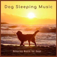 Just a Short Walk - Dog Sleeping Music