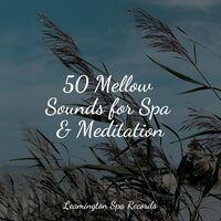 Bliss - The White Noise Zen & Meditation Sound Lab & Natural Sound Makers & The Sleep Helpers