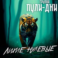 Джем - Группа Пули-Дни