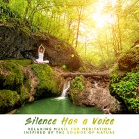 Distant Space - Nature Meditation Academy