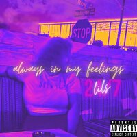 Say You Wanna - Lils