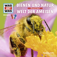 Der Hochzeitsflug - Was Ist Was