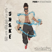 Liquid Snake - Noveliss